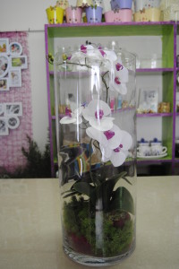 FIORIDEA_MONTERCHI_FINTI_COMPOSIZIONI_0017